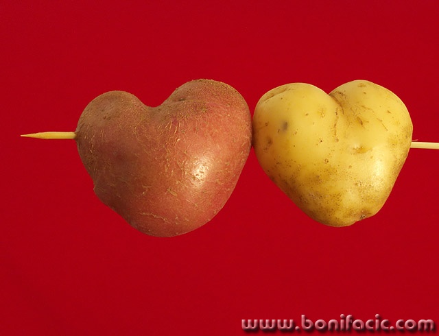 macro___Relationship___