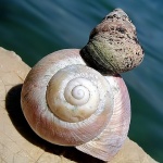 macro___Second Floor___