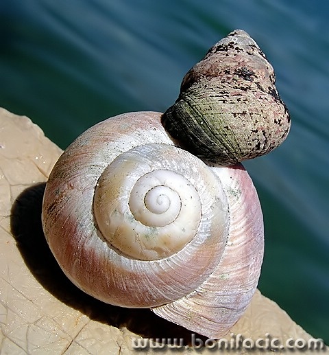 macro___Second Floor___