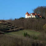svetikriz1 copymal