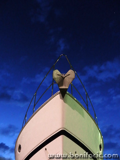 glisernoc1 copymal