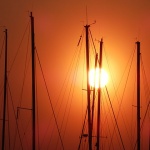 jarbolizalazak1 copymsl