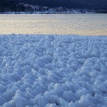 punatdunatled1 copymal