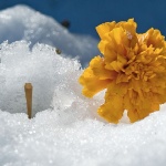 macro___Survival___Lokve, Croatia.