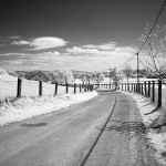 cestaseloir1 copymal