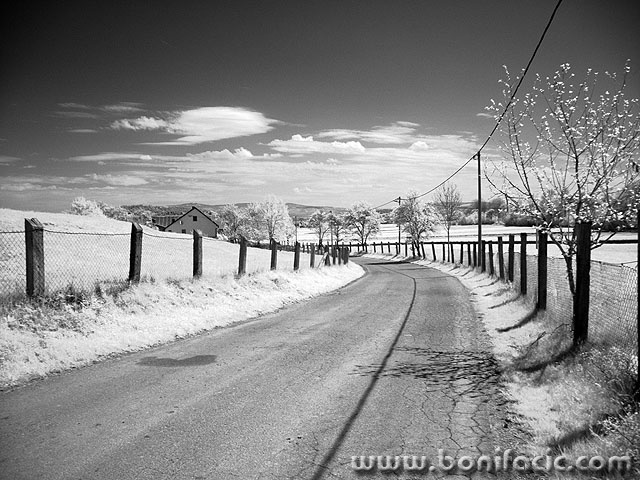 cestaseloir1 copymal