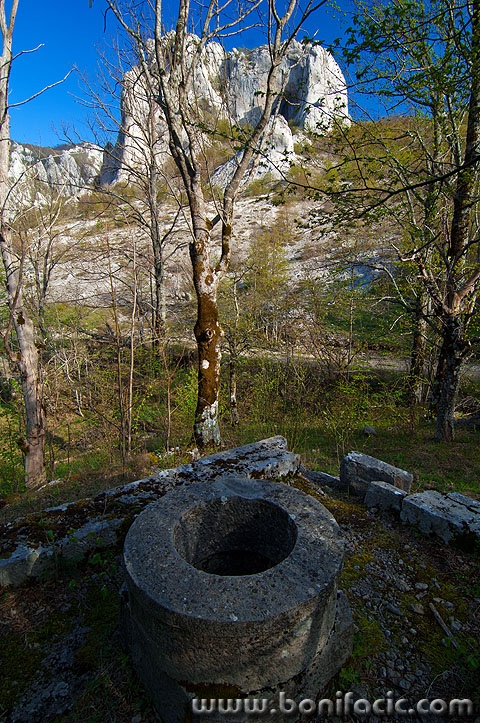 velebitgusterna1 copymal