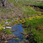 velebitpotok3 copymal