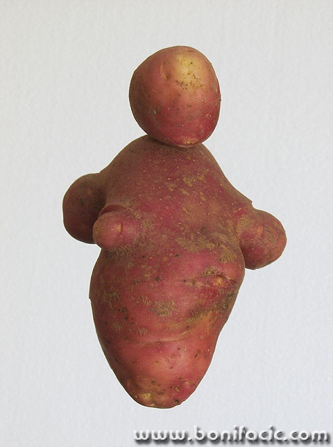 macro___Young Potato___