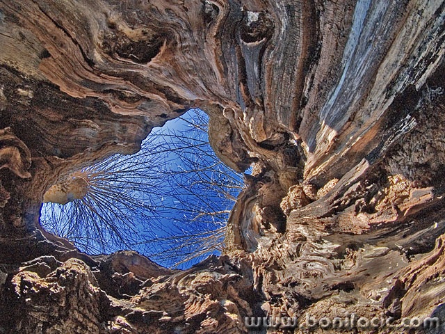 stilllife___Inner Smile___Milohnic, Croatia.