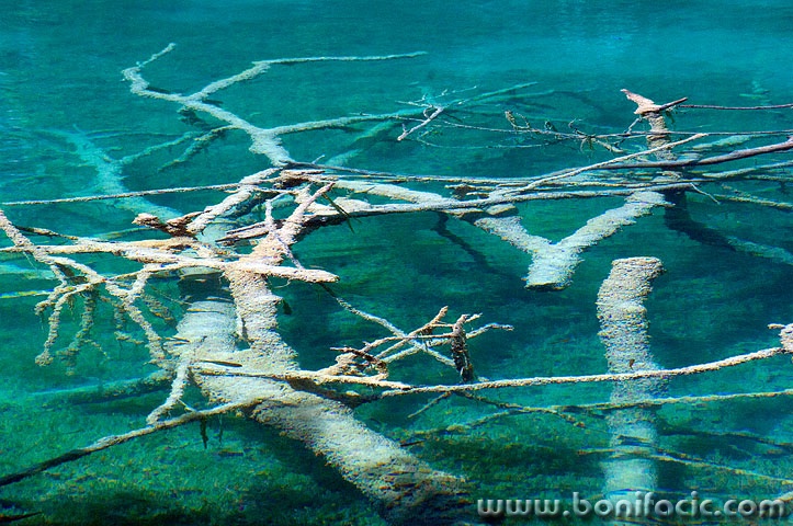 2ND_7370 copy copymal