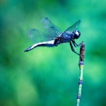 2ND_7575 copy copymal