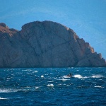 2ND_7224 copy copymal