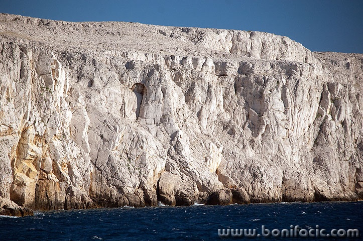 2ND_7268 copy copymal