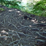 D2X_4852 copy copymal