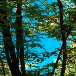 2ND_7323 copy copymal