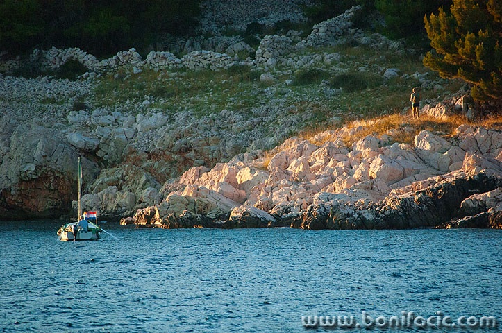 2ND_7762 copy copymal