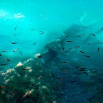 D2X_4644 copy copymsl