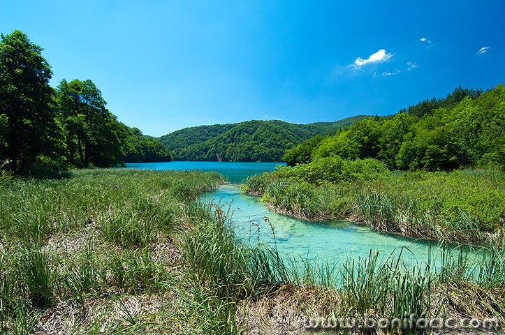 D2X_4713 copy copymal