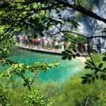 2ND_7319 copy copymal