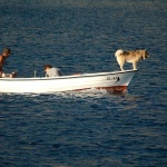 2ND_7626 copy copymal