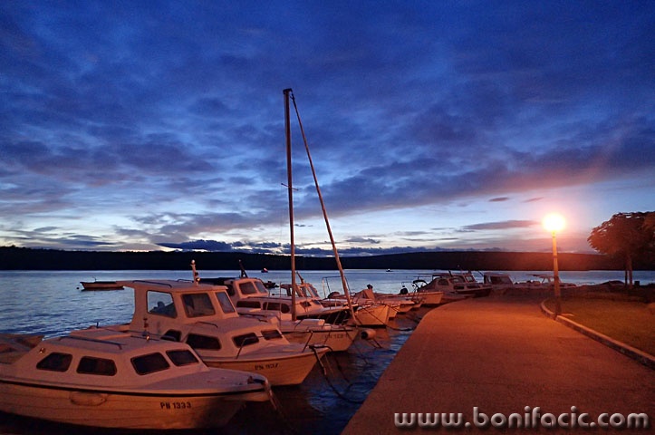 podgusternuvecer1 copymal