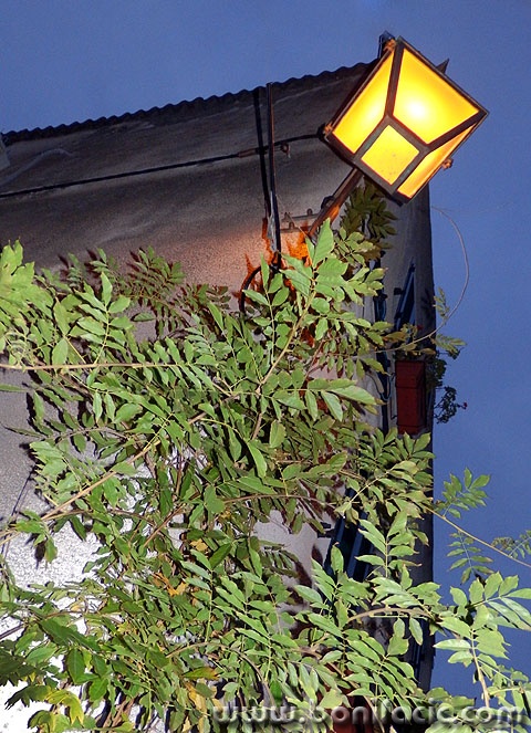 lampabrsljan1 copymal