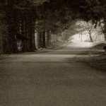 rasadnikcestatunel1 copymal