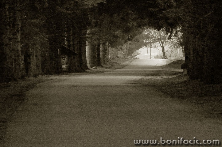 rasadnikcestatunel1 copymal