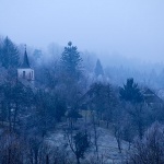 selogorskikotarmaglamal