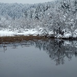 ribnjakgomirjekuca1mal