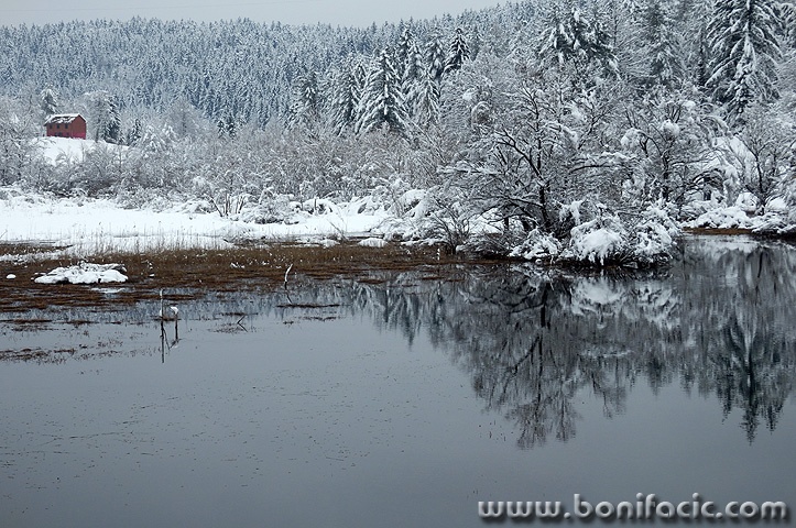 ribnjakgomirjekuca1mal