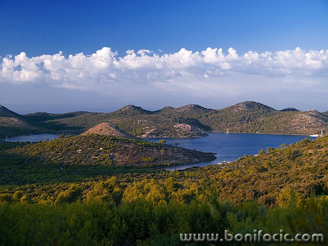 telascica5mal