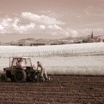 josipdoltraktorir1mal