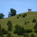 likakorenicaceka1mal