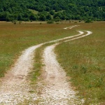 likakorenicacesta4mal