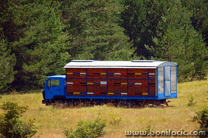 kamionpcelelikakorenica1mal