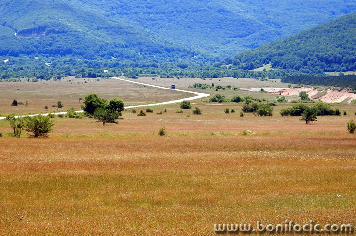 likakorenicacesta3mal