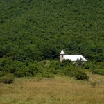 likakorenicacrikva1mal