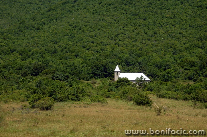 likakorenicacrikva1mal
