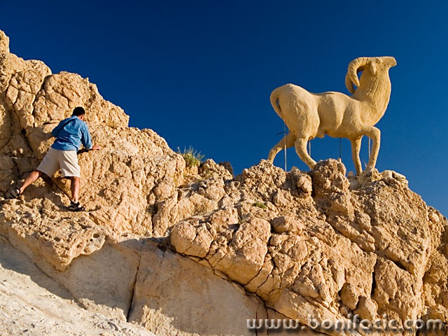 people___Goat Hunter___Chebika, Tunisia.