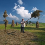 people___Hayfield___Ljubosina, Croatia.