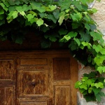 vratabrsljangornjigradzg1mal