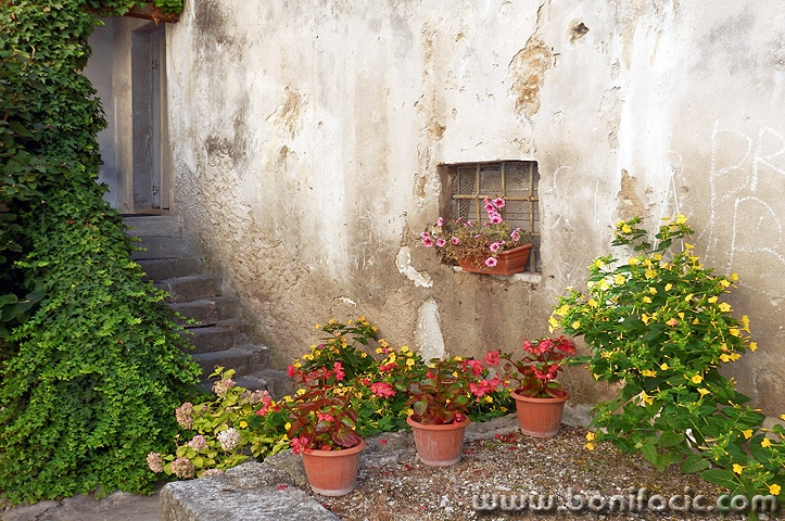 buzet5mal