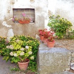 buzet4mal