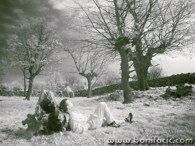 people___Herd___Kampelje, Croatia.