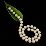 macro___Magical Pea___