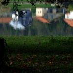 sabljacijesenodraz5mal