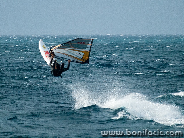 surf44
