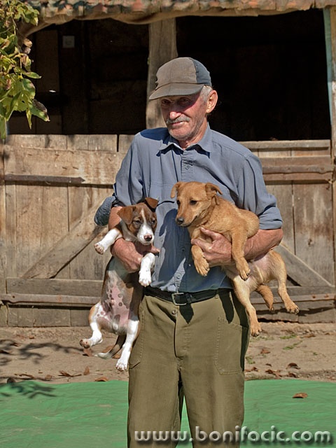 people___Landlord___Kriznica, Croatia.